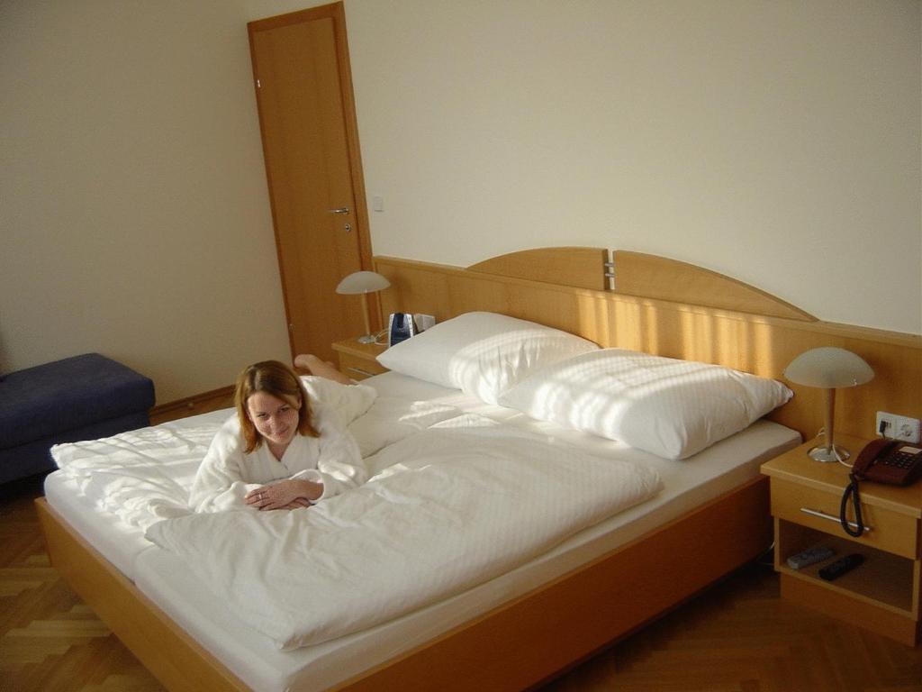 Pension Schlossblick Nebersdorf Rom bilde